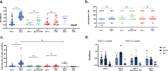 The main difference is where the blisters appear. Model Of Vaccine Efficacy Against Hsv 2 Superinfection Of Hsv 1 Seropositive Mice Demonstrates Protection By Antibodies Mediating Cellular Cytotoxicity Npj Vaccines