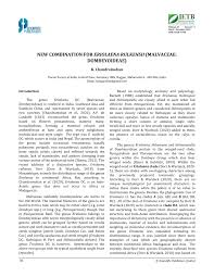 Image result for Eriolaena rulkensii