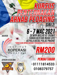 Ibu kost nakal !!!ajak wikwik ngeue 18+. Ladang Arnab Barakah Malaysia Posts Facebook