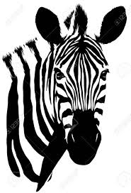 Schwarze Und Weisse Lineare Farbe Zeichnen Zebra Illustration Lizenzfreie Fotos Bilder Und Stock Fotografie Image 73998271