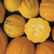 If the latter, what is it called? Winter Squash For Tight Quarters Finegardening