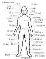 Click on the tags below to find other quizzes on the same subject. Printable Spanish Body Parts Free Image