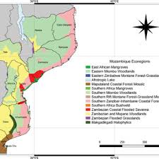 Image result for Sericanthe chimanimaniensis