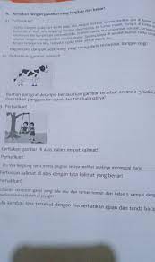 Buatlah paragraf deskripsi yang menggunakan. 42 Perhatikan Gambar Berikut Buatlah Paragraf Deskripsi Berdasarkan Gambar Tersebut Antara 2 5 Brainly Co Id