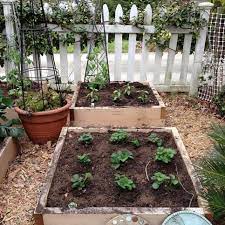 If You Re Beginning Your First Garden Help Yourself Avoid The Feeling Of Being Over Kitchen Garden Plants Starting A Vegetable Garden Raised Vegetable Gardens