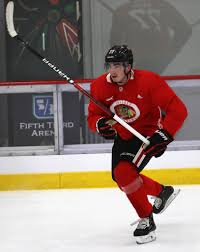 The 2019 iihf world junior championship (2019 wjhc) will be the 43rd ice hockey world junior championship. Canada Missing Captain And Germany Hit By Covid On Eve Of World Juniors