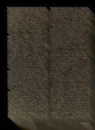 Image result for Cylindropsis parvifolia