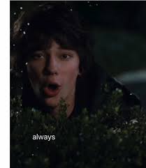 Rodrick and Greg Sibling