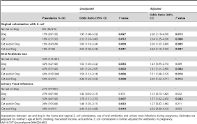 Cat And Dog And The Vaginal Colonization Oral Antibiotic