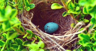 2021 2022 Duty Schedules