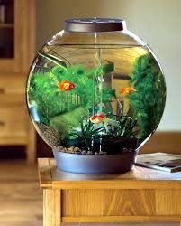 See the complete tutorial or browse more ideas here. 100 Ideas Integrate Aquarium Designs In The Wall Or In The Living Room Interior Design Ideas Ofdesign