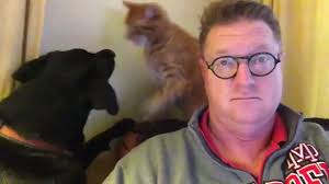 @KapSumant's video Tweet