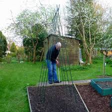 Plant a little deeper in sandy soils (but not too deep). Runner Bean Support Frame Kit Suttons