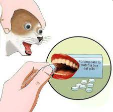 The day of infusion, i took 2 pain pills 2 hrs prior, and drank a lot of water (64 oz). For Your Health Surrealmemes Funny Memes Stupid Memes Bad Memes