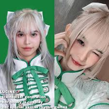 Klp48 Transfer Member