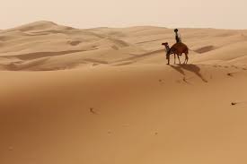 Reasons for switching to content camel: Google Turned A Camel Into A Street View Car To Map The Liwa Desert Techcrunch