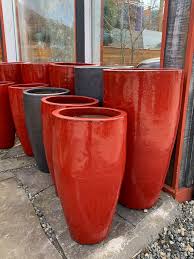 Buying ceramic pots will take your room's décor on a whole new level. Potteryland