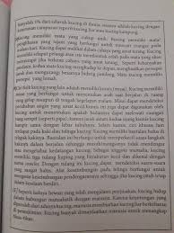 Letak kalimat utama dalam sebuah paragraf dapat berada di awal, tengah, atau pada sebagaian besar paragraf. Tuliskan Ide Pokok Dan Kalimat Utama Dr Setiap Paragraf Jawab Ngawur Buat Dpt Poin Report Brainly Co Id