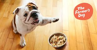 Fantastic pet market near me best pet movie online free. Fresh Human Grade Dog Food Delivery The Farmer S Dog