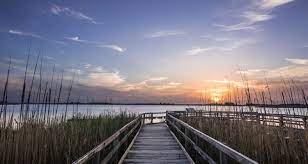 Thousands of geese, swans and a large variety of ducks visit back bay nwr during the winter migration, particularly during the months of december and january. Back Bay National Wildlife Refuge Attraction Virginia Beach Va
