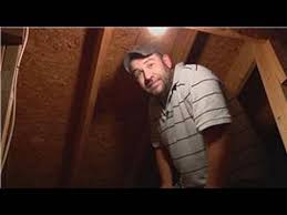 What are the chances to remove squirrels from attic. Pest Control How To Get Rid Of Wasps In The Attic Youtube