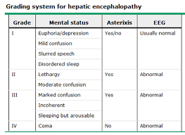Icd 10 Hepatic Encephalopathy