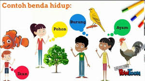 Pembahasan soal dan kunci jawaban buku paket tematik siswa tema 7 kelas 6 kepemimpinan subtema 1 pemimpin di sekitarku pembelajaran 1 halaman 1, 2, 5, 7, 8. Kunci Jawaban Tema 7 Kelas 1 Halaman 24 Hingga 39 Subtema 1 Pembelajaran 3 5 Benda Hewan Dan Tanaman Tribun Pontianak