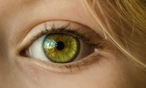 Sriram ramalingam | appointment booking number: Can I Drive After Cataract Surgery Lipstock Lasik