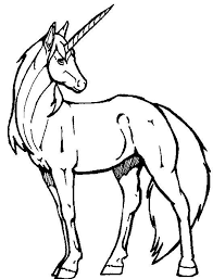 Resultado De Imagem Para Desenhos De Unicornio Para Colorir Disegno Di Cavallo Libri Da Colorare Disegni