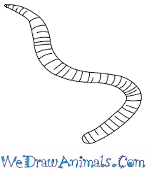We did not find results for: How To Draw An Earthworm