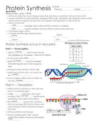 30 luxury rna transcription worksheet answers pictures grahapada com. Protein Synthesis Worksheet Answers Part A Nidecmege