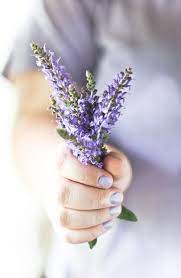 Check spelling or type a new query. 137 365 If Joy Were A Color It Would Be Purple Pastel Pretty Flowers Flowers For You Lavender Flowers