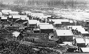 Image result for Dark Harvest Gold 1983 Fedders