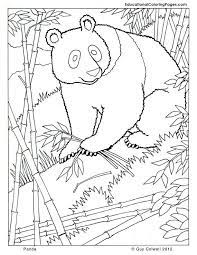 Coloring pages for adults recovery. Realistic Animal Coloring Pages For Kids Novocom Top