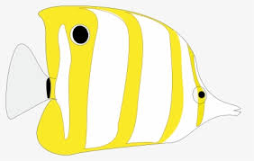 Itu loh binatang yang bernapasnya menggunakan insang dan juga termasuk dari haiwan berdarah dingin karena memang dia hidupnya di laut. Seafood Clipart Ikan Tenggiri Ikan Tenggiri Hd Png Download Transparent Png Image Pngitem