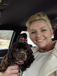 Lost brown cocker spaniel in Hickory Hills