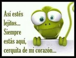 Las más bonitas frases de amistad en inglés están aquí, por eso si tienes que decirle a algún amigo lo importante que es para tí y es americano o inglés, o sabes que por cualquier motivo le gustará más que se lo digas en versión original puedes utilizar cualquiera de estas frases. Amistad Virtual Rai Red De Amigos Intimos Frases De Amistad Frases De Enamorados Frases De Amor Para El Novio