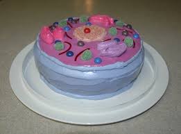 Maybe you would like to learn more about one of these? Cell Cake By Thatonegrl On Deviantart