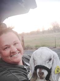 How to keep goats cool in summer?