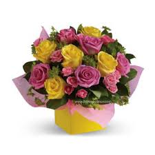 We did not find results for: Purple Rose Flower Send Purple Roses Bouquet Delivery To Brisbane
