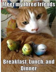 It's printed in photo quality on a magnetic sheet material. Funny Animal Pictures Of The Day 28 Pics Funny Animals Funny Animal Pictures Cute Animals