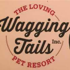 Check spelling or type a new query. Wagging Tails Pet Resort Home Facebook