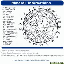 Mineral Interaction Chart Vitamins Minerals Heavy Metal