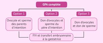 Le rejet de l'article 1er sur la pma pour toutes a semé la pagaille. Quels Sont Les Differents Types De Gestation Pour Autrui