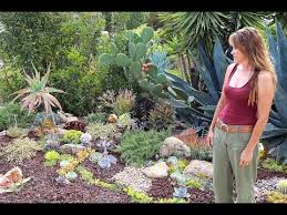 1 Laura Eubanks Succulent Garden Design Secrets Youtube In 2020 Succulent Garden Design Succulents Garden Succulent Garden Outdoor