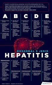 Selain itu, pasien penderita hepatitis autoimun juga dapat diberikan azathioprine, mycophenolate, tacrolimus, dan cyclosporin. Infografik Mengenal 5 Jenis Hepatitis