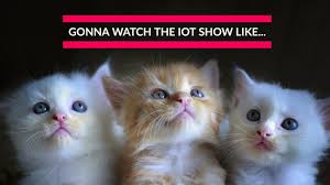 These memes are too little collection but very funny. 100 Dank Cat Memes Ever That Will Make You Rock N Roll Cat Memes Clean Cat Memes Funny Dubai Khalifa