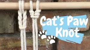Cat's paw or catspaw may refer to: How To Tie The Cat S Paw Knot Macrame Hitching Knot Youtube