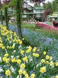Roses At Wedgwood House And Gardens Butchart Gardens Olive Garden Delivery Buchart Gardens