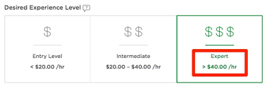How To Choose The Perfect Upwork Hourly Rate In Any Niche